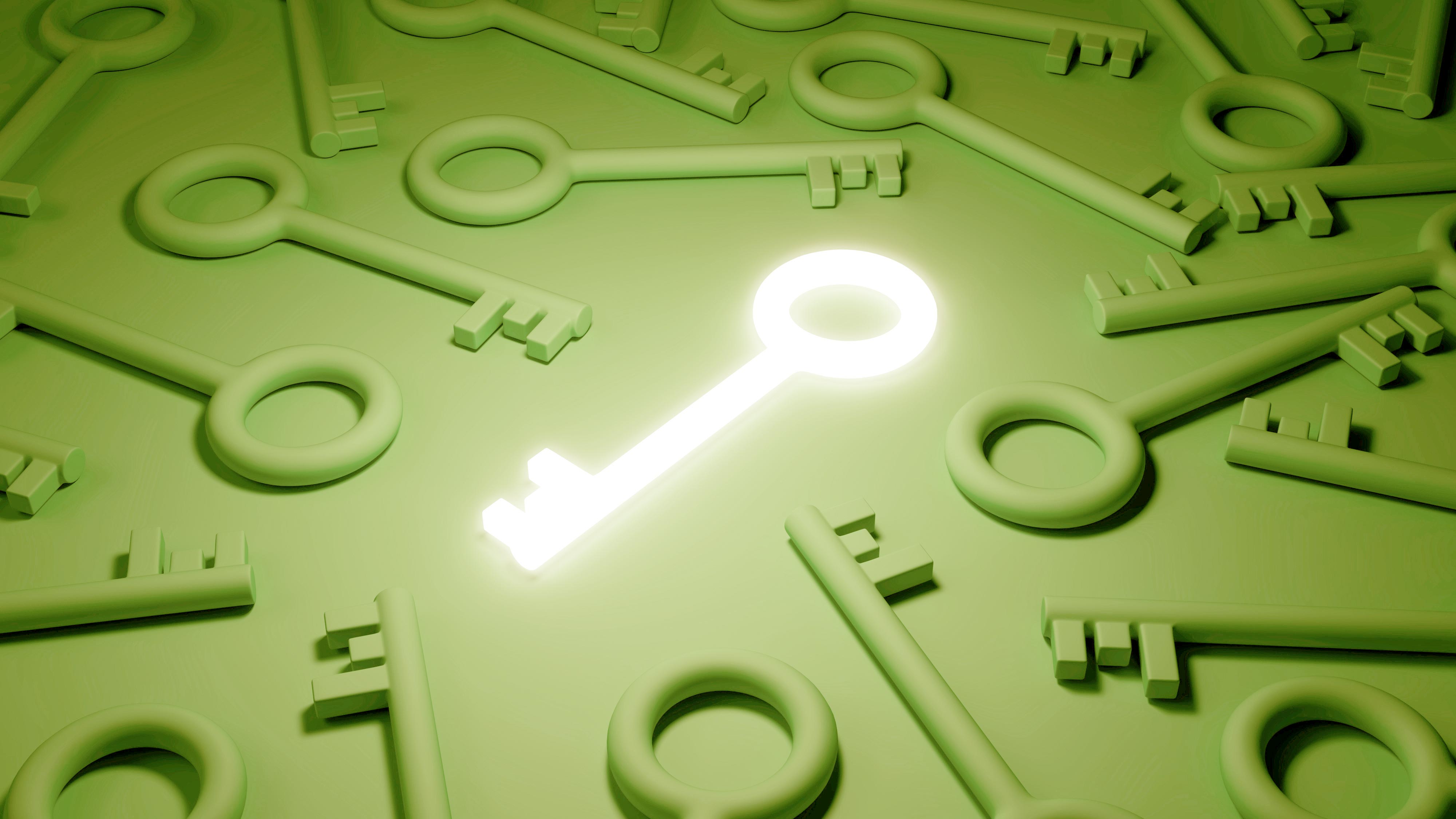 Personalisation and customer retention in e-commerce: the key to success in 2024